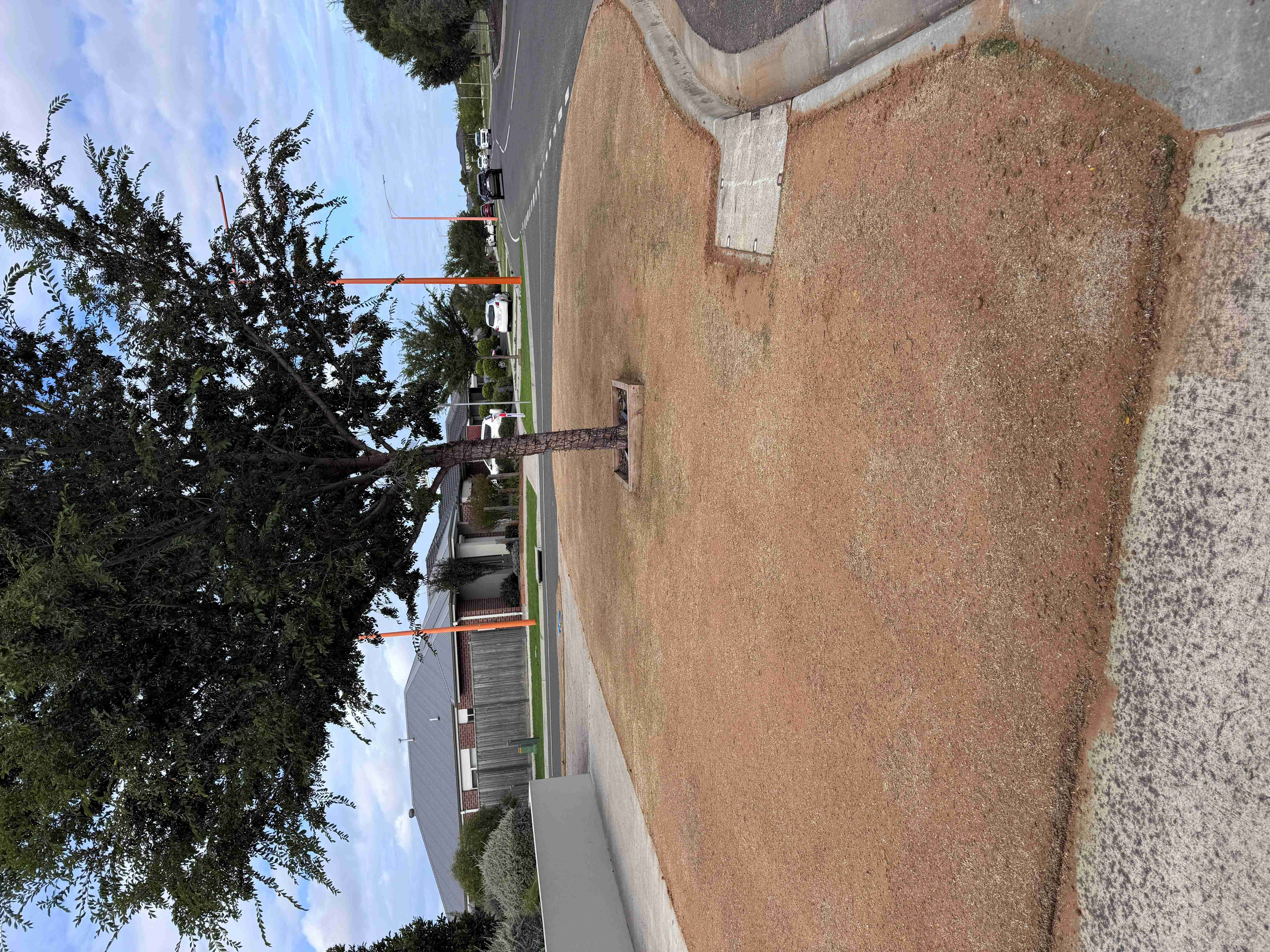 Seed and sand applied